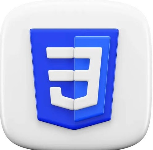 CSS Logo
